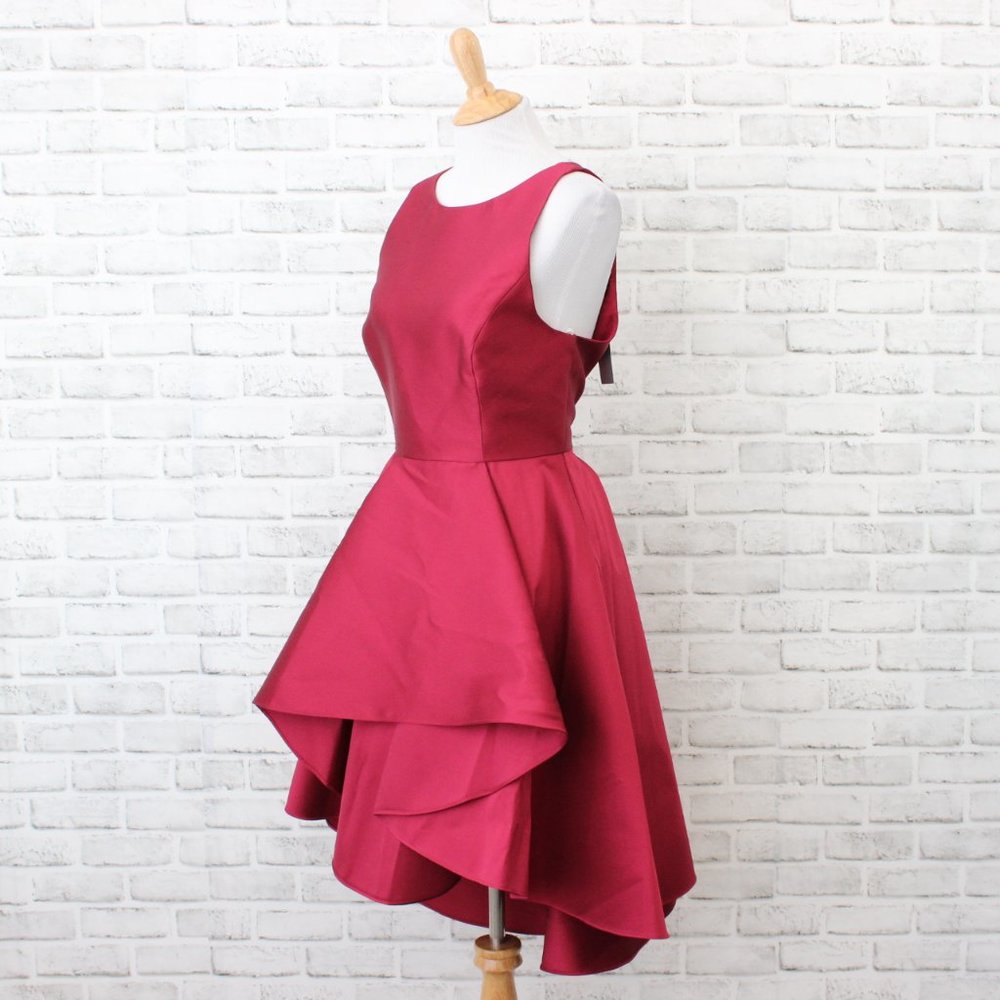 Halston Heritage Women's Fit & Flare Formal Dress